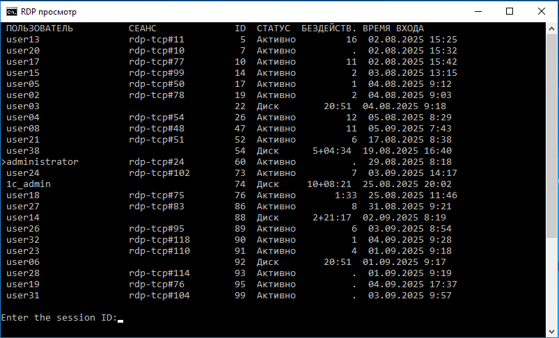 Окно RDP просмотр