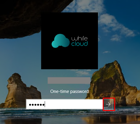 Вариант1 Вариант1